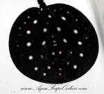 Leopoldi Stingray 7"-9" Female3