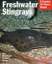 Stingrays By: Barron's