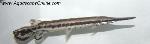 Long Nose Gar 6"-8" (Lepisosteus osseus)